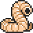 Leech