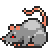 Rat